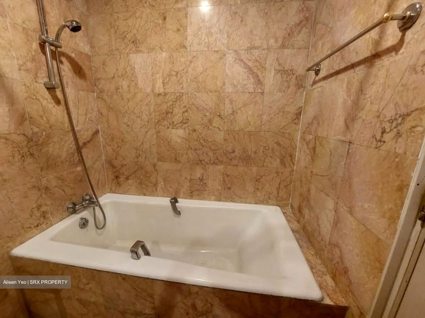 Nineteen Shelford Road (D11), Condominium #566266471